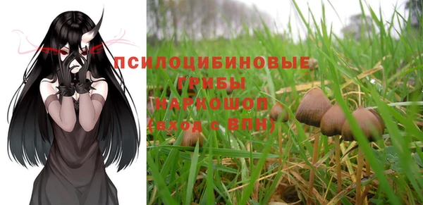 амф Инсар