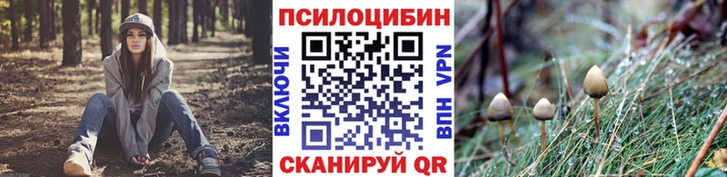 закладка  Касли  Галлюциногенные грибы прущие грибы 