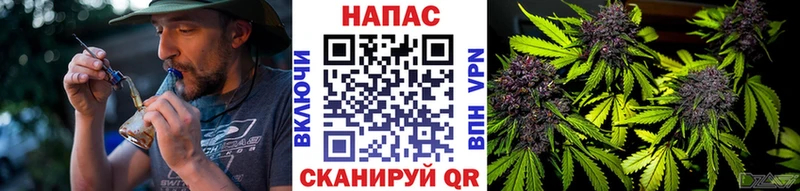 сайты даркнета наркотические препараты  Касли  Бошки Шишки семена 
